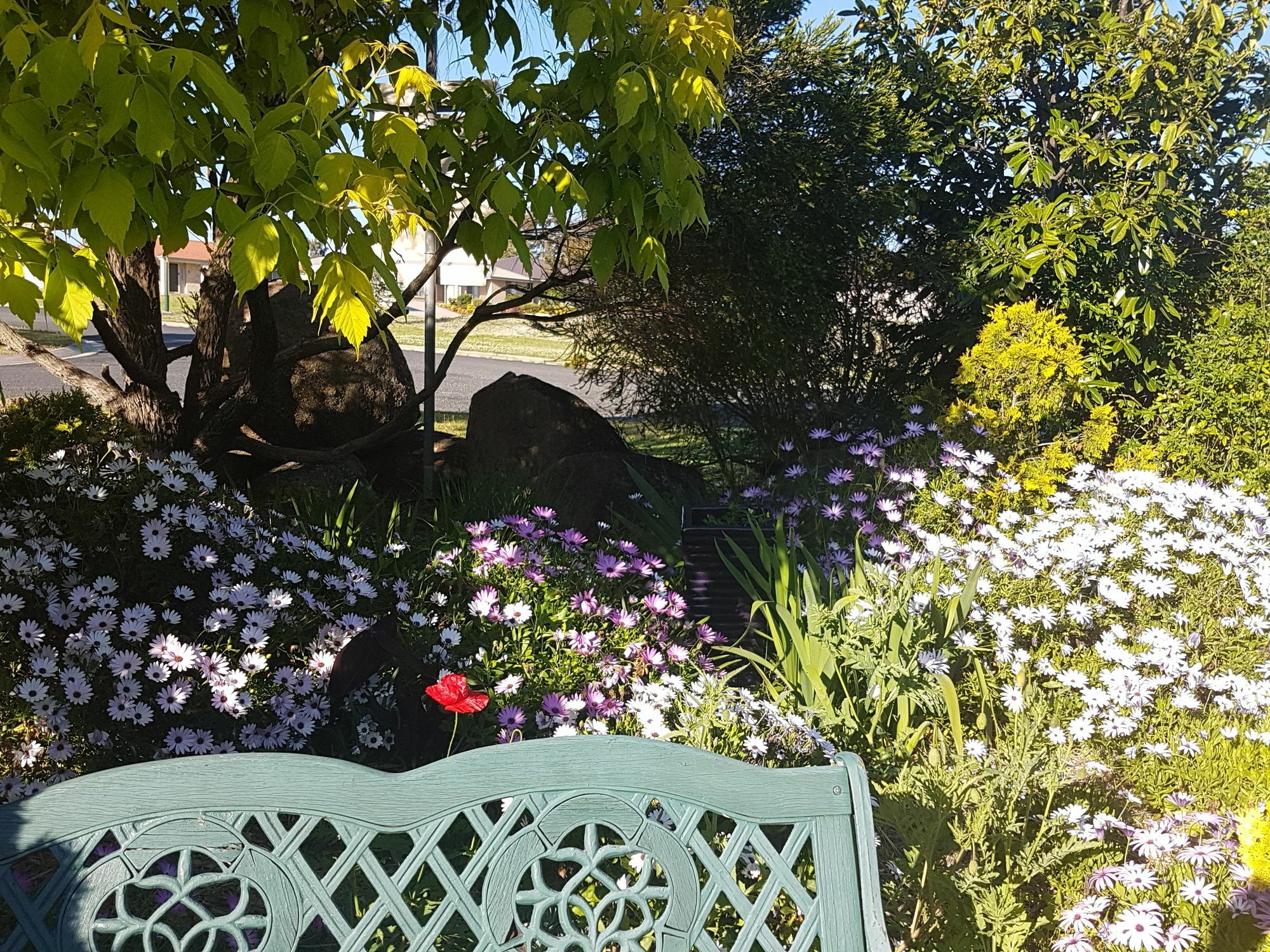 Grovely House Bed & Breakfast Stanthorpe Exterior foto